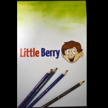 Little Berry skicár